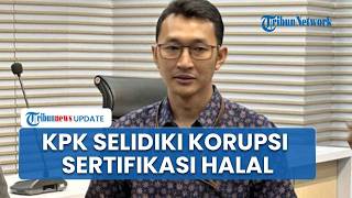 Laporan ICW Ditindaklanjuti, KPK Selidiki Dugaan Korupsi Sertifikasi Halal BGN screenshot 4