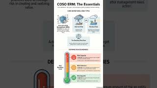 CIA Part 1 I Unit 7.2 COSO ERM Overview | Hinglish Shorts 29/39