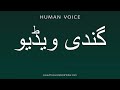 How To Pronounce گندی ویڈیو 