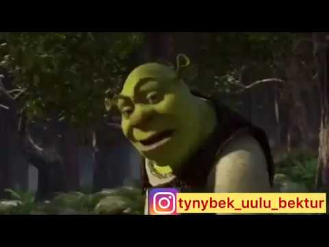 Жаны тамаша Шрек кыргыз каналга жазылгыла