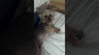 Shes On A Roll Today