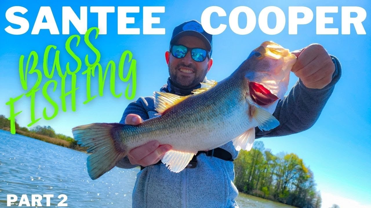 SANTEE COOPER Bass Fishing Part 2!! YouTube