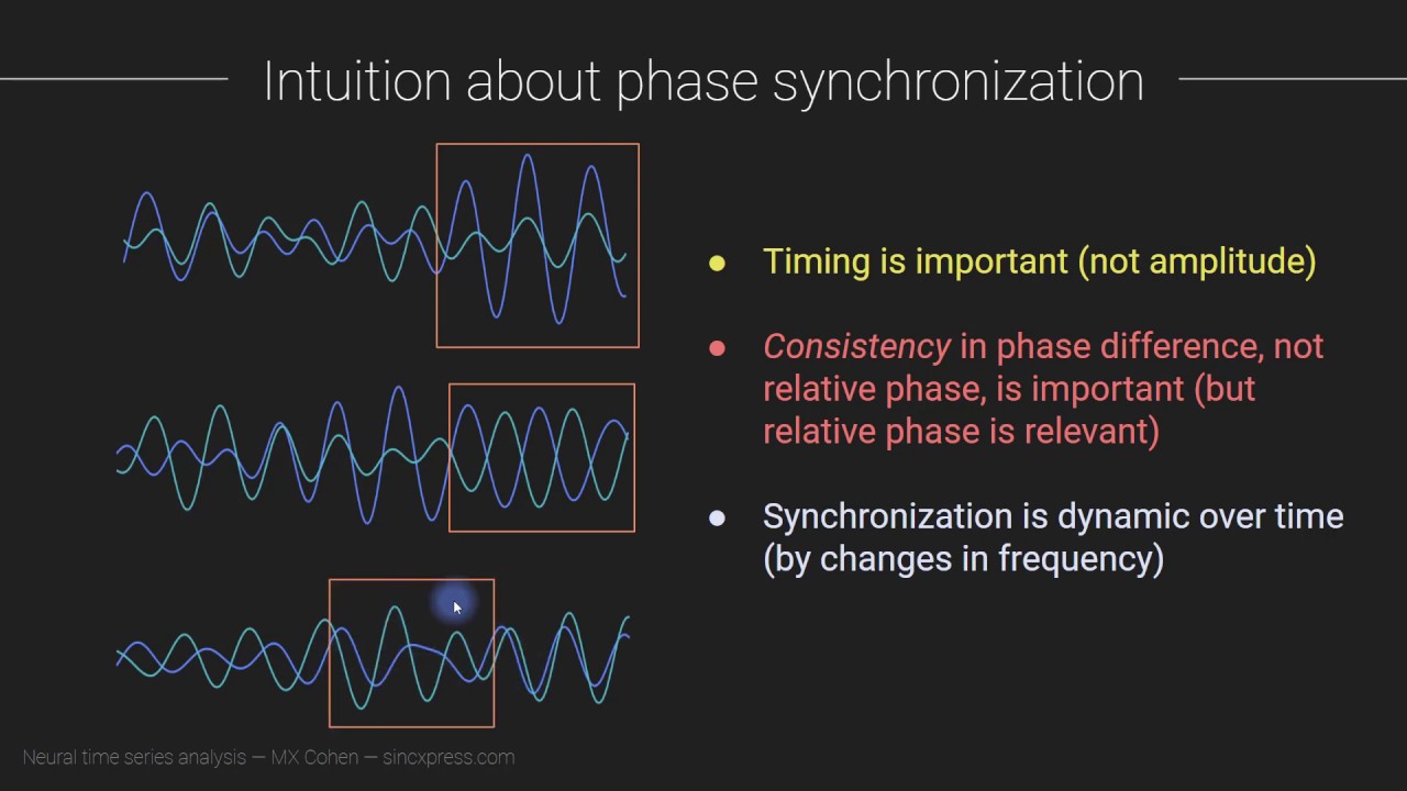 Intuition about phase synchronization YouTube
