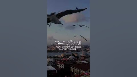 تلاوة هادئة تريح الاعصاب 💚 قران كريم💚  بصوت جميل 💚 تلاوة عطرة ✨ #المصحف #اكسبلور#quran #تلاوة_مؤثرة