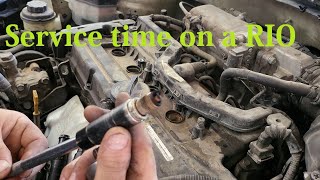 2008 KIA Rio Spark Plug and Oil Service (Detailed)