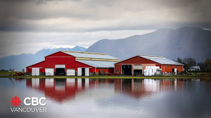 Support networks for Abbotsford residents displaced by November floods
