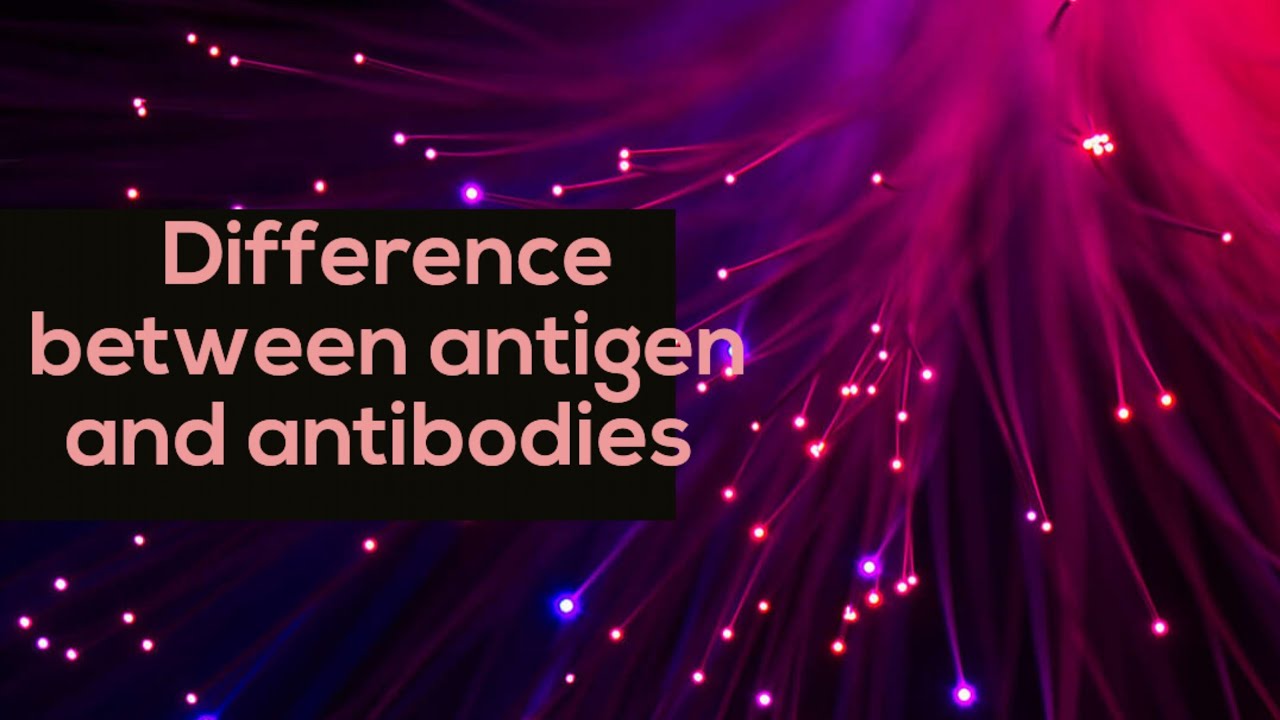 Difference between antigen and antibodies,Biologics YouTube