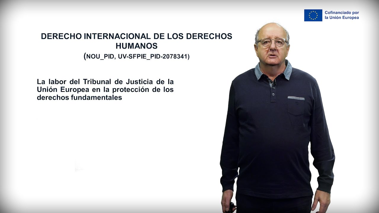 7 La Labor del Tribunal de Justicia de la Unión Europea en la protección de los derechos