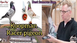 Koopman Racer pigeon | Top Famous bloodline Koopman | Best performer Racing Pigeons | kalapati screenshot 2