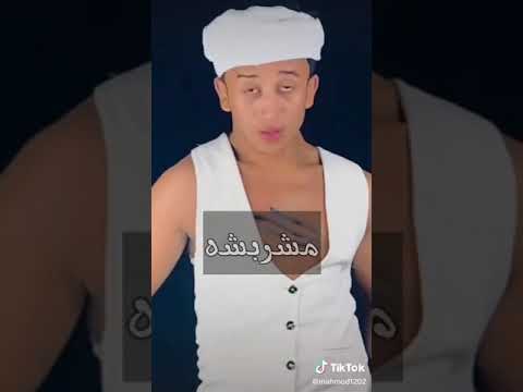 حالات تيك توك جديدة إلكساحة انتي بسكوتيه مقرمشه يابت دنتي قطه مخربشه حالات ٢٠٢٠