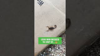 Look Who Decided To Stop By