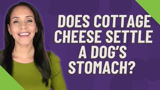 Does cottage cheese settle a dog's stomach?