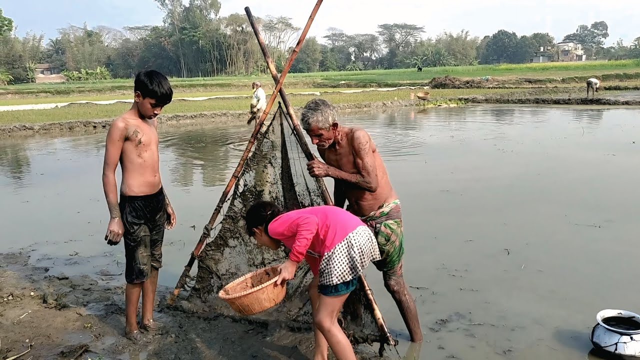  গ্রামের মানুষেরা কি ভাবে ঠেলা জাল দিয়ে মাছ ধরে |  Village | Fishing 