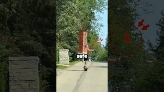 This might be the most skilled delivery driver on the internet 🤯
