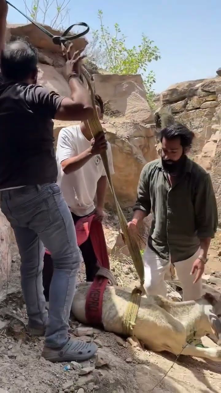 💔একাকিত্ব জীবন💔 - ShareChat