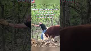 This cow woke up and chose chaos🐄💥#CowChaos#funnycow #nopeace#AnimalChaos#FarmLife#fyp