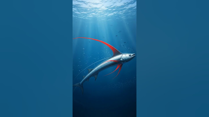 “Doomsday Fish: The Mysterious Oarfish of the Deep Sea”||“What Is the Doomsday Fish?  #animals