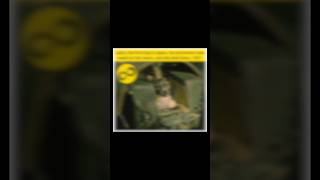 The First Dog in Space: The Secret the Soviet Union Kept for Decades | In_finityfacts |