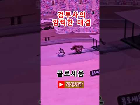 [역사 토픽] 콜로세움 검투사의 깜찍한 대결 [역사야담] [노원기차마을] #shorts