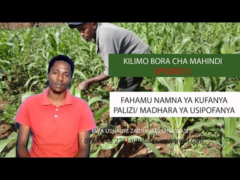 Video: Magugu Katika Bustani - Magugu Yanasema Nini Kuhusu Udongo Wako