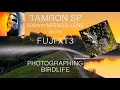 Fuji XT3 & Tamron SP 500mm Mirror Lens Photographing Birdlife