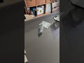 サーファー？マメちゃん