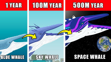 Space Whale Origin Evolution: How Space Whale Could Have Evolved