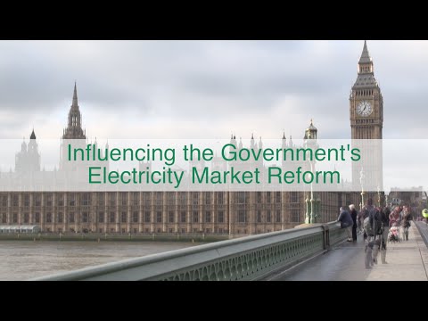 Influencing the Government's Electricity Market Reform