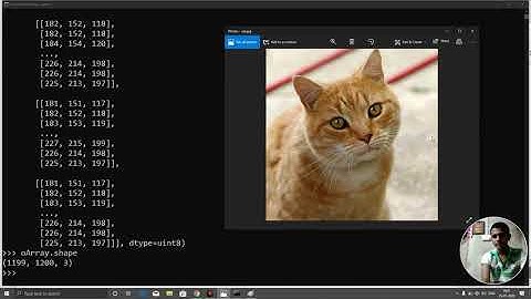 python 54 numpy  how to edit,crop an image