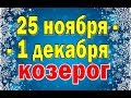 КОЗЕРОГ  неделя с 25 ноября по 1 декабря. Таро прогноз