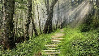 AMSAL 3:16 -  Pdt Lilis F Br. Tambunan