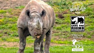 YWP Foundation Supporting 'Save the Rhino International' in Kenya