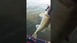 The Best Hair Jig For Catching River Walleyes