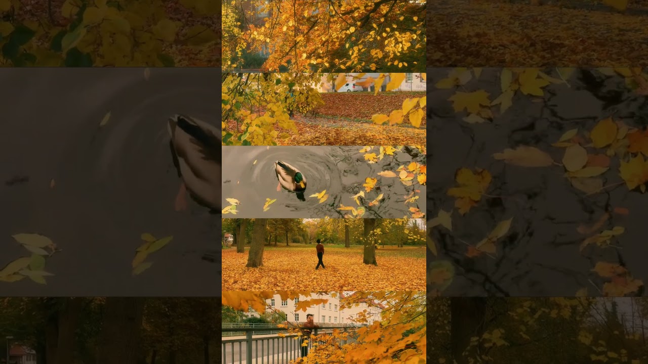 German small town in autumn 🍂 