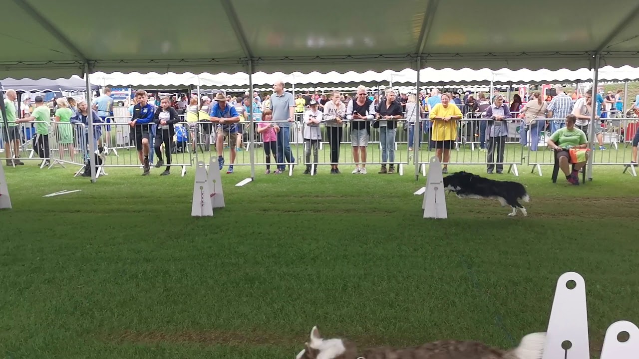 EFC2019, Flying Finns - New Vision 2, 1-0