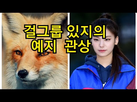 걸그룹 있지의 예지 관상
