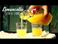 Limoncello / Licor de Limón