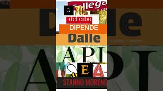 Dato shock “Il 70% del cibo dipende dalle api. E stanno morendo.”