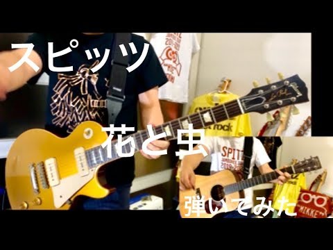 スピッツ 花と虫 弾いてみた(ギター・guitar) マサムネパート＆テツヤパート SPITZ アルバム『見っけ』収録　MIKKE