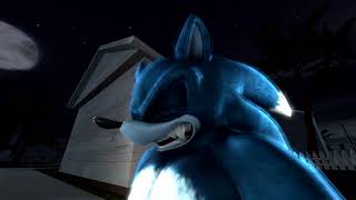 The Night Of The Beast Werehog Sonic Transformation