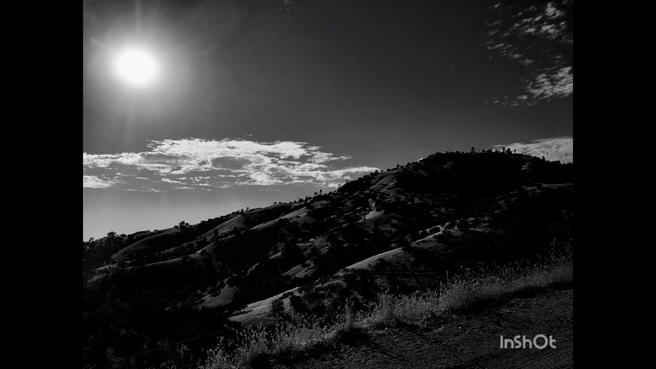 What Happens When Men Flee The Wild - Bryan Ward