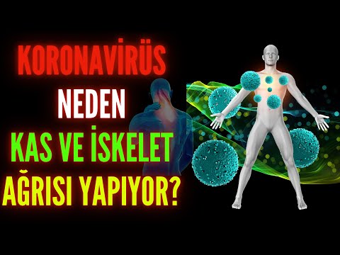 Koronavirüs Süreci Neden Kas Ve İskelet Ağrılarını Artırdı ?