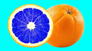 Patterns Inside Fruits and Vegetables Stop-Motion Animation