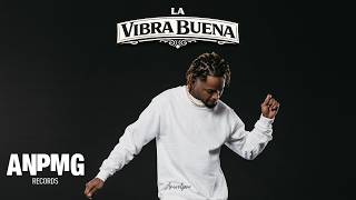 Anivelpro La Vibra Buena Visualizer
