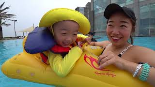 [VLOG]제주도(아침미소목장,퍼시픽랜드,부띠끄스테이스놉,서귀포,갯바위횟집,휴애리,수국축제,해비치호텔,함덕해변)