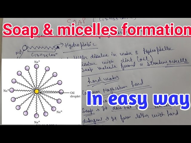 Soap and micelles formation in easy way with brief - YouTube