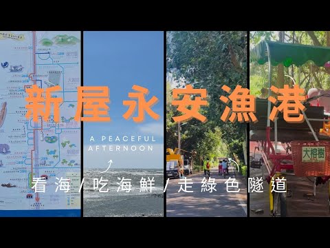 【桃園半日遊】永安漁港超chill半日遊｜全台最美夕陽＋在地海鮮吃爆＋租腳踏車遊綠色隧道！‪@武鈴柔的幸福生活‬