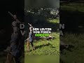 Fable vorstellung