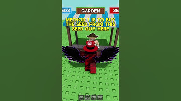 How to get Beanstalk Seed in Grow a Garden Roblox
