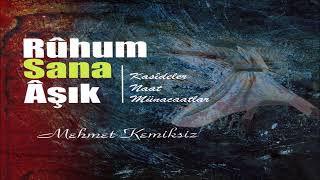 Ruhum Sana Aşık | Hüseyni Kaside | Sevdim Seni Ben Sevmeye Layık Diye Sevdim